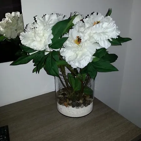 Nocleg ze śniadaniem Stefanelli 4*