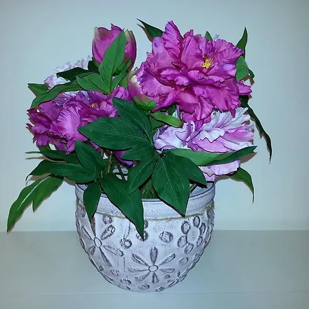 Nocleg ze śniadaniem Stefanelli 4*