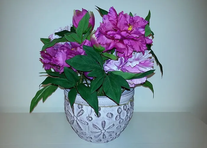 לינה וארוחת בוקר Stefanelli 4*